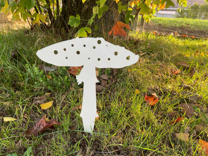 Champignon automnale  à piquer