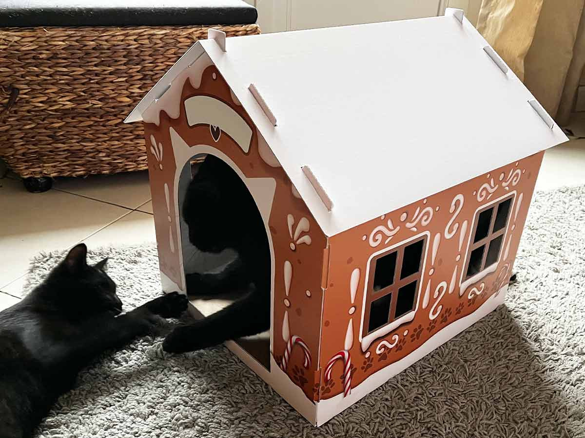 Maison en carton pour chat, édition Noël - La Boutique PVP