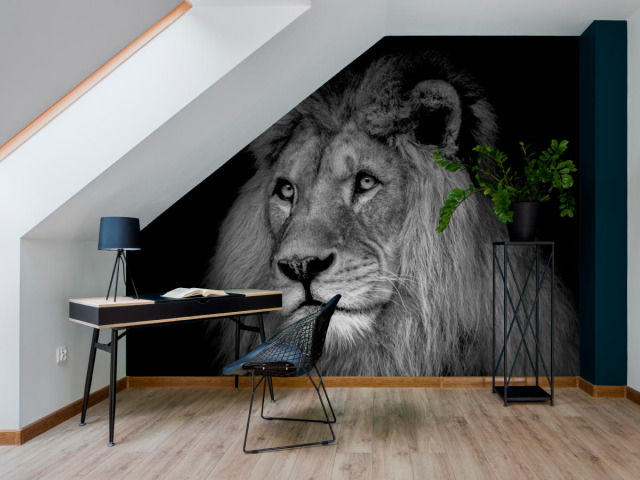 Papier peint Lion noir et blanc