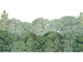 Papier peint panoramique - Jolie forêt