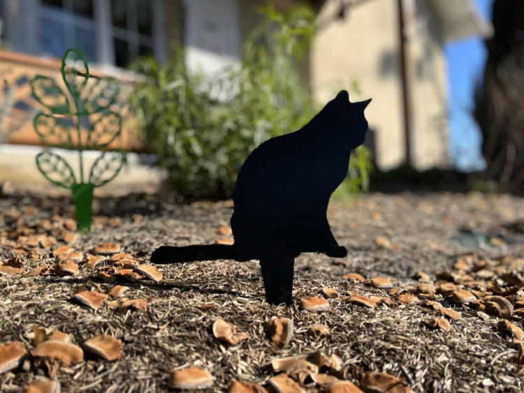 Silhouette chat - à piquer